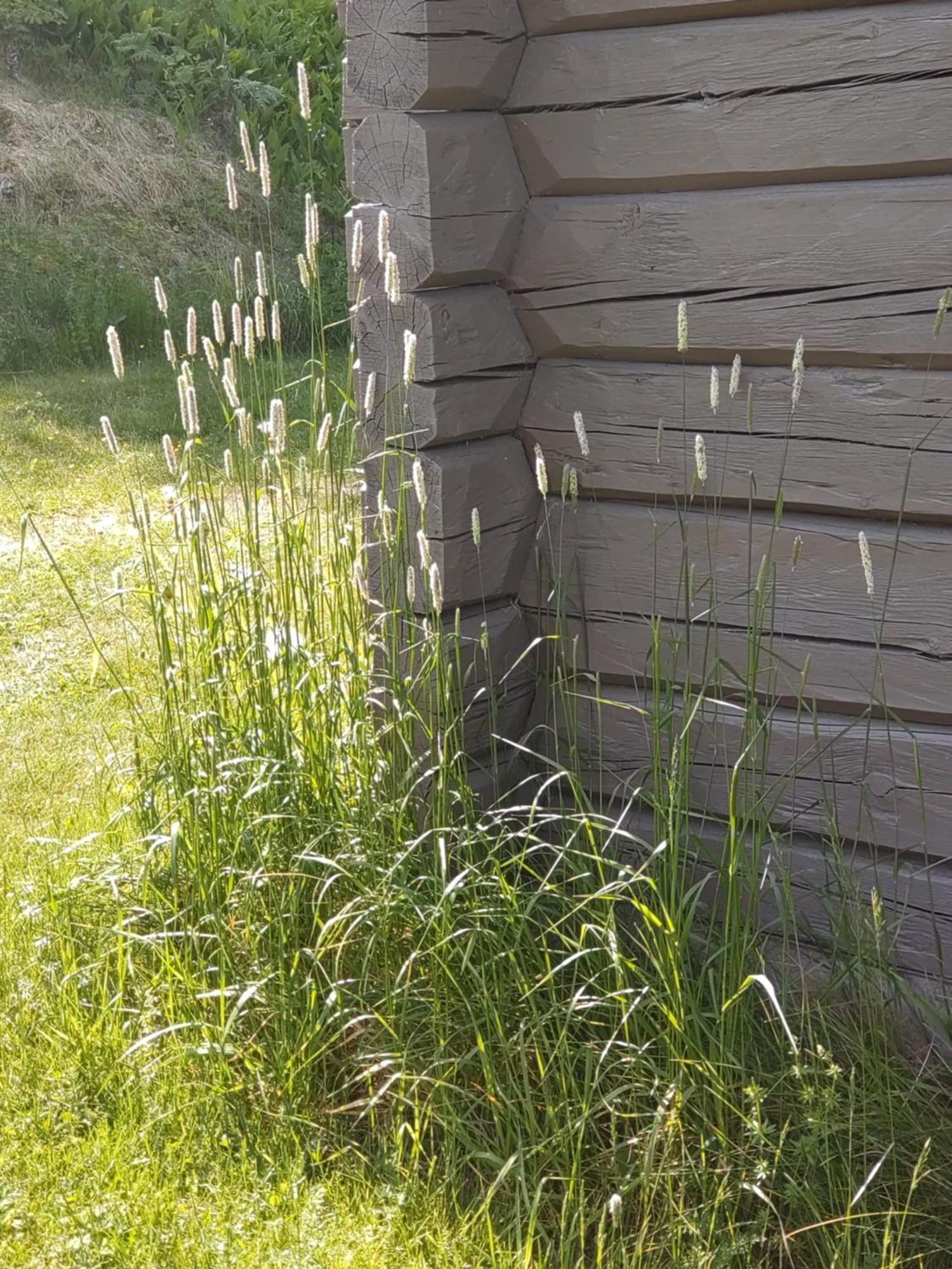 Fyrkloeverns Stugby Rättvik Exteriér fotografie